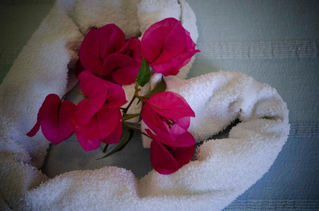 Hotel Angelino Barano dʼIschia Εξωτερικό φωτογραφία