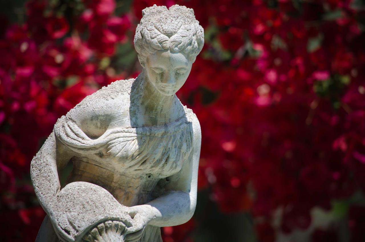 Hotel Angelino Barano dʼIschia Εξωτερικό φωτογραφία
