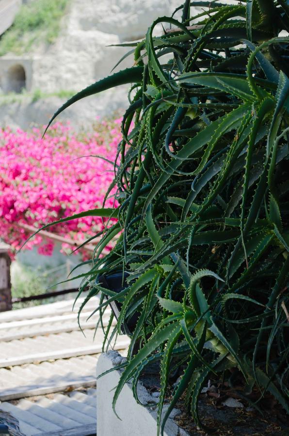 Hotel Angelino Barano dʼIschia Εξωτερικό φωτογραφία